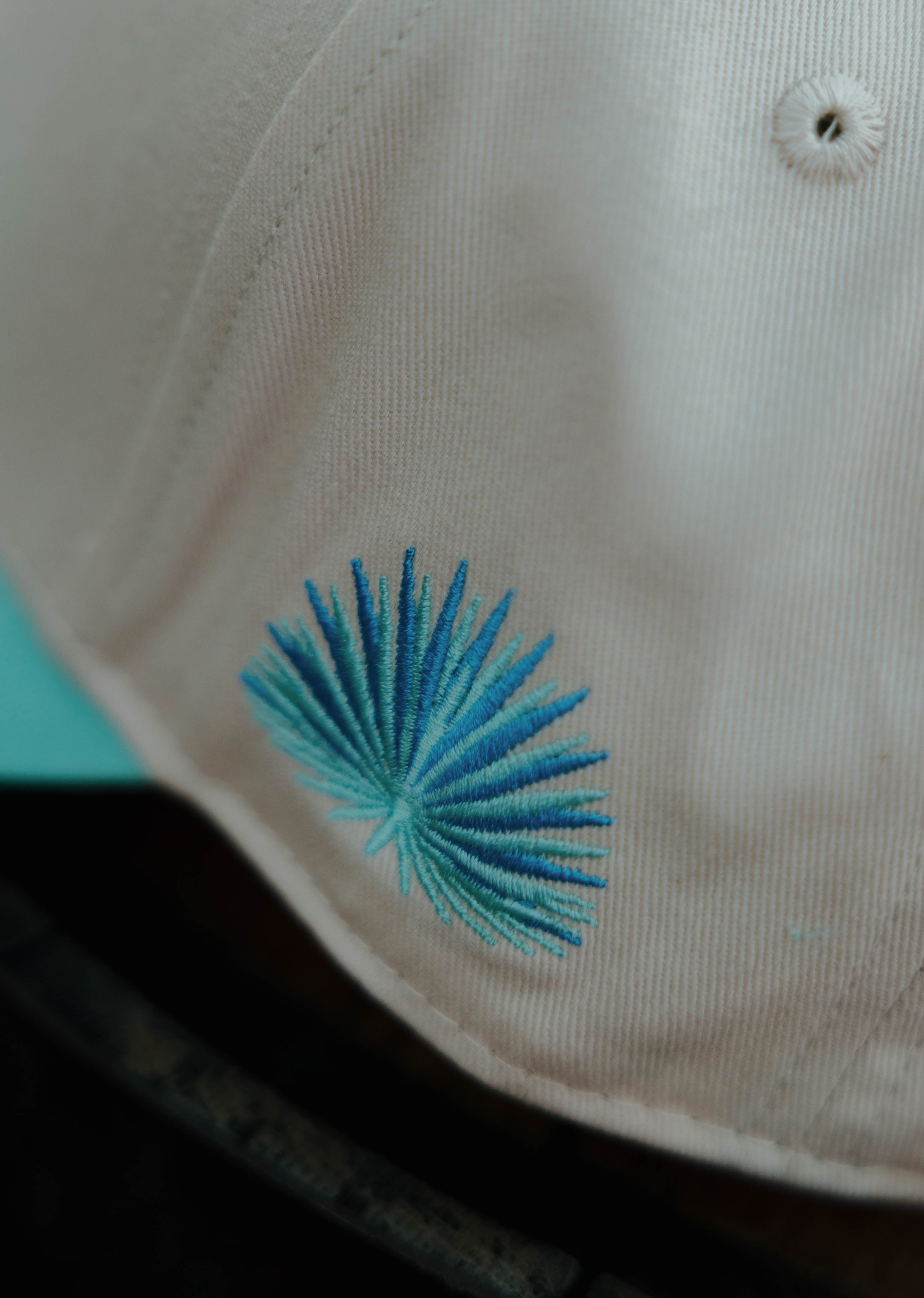 Agave H Cap